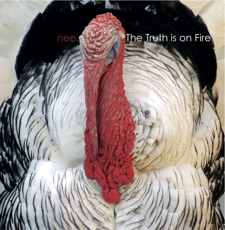 CD-Cover von nee. The Truth is on Fire